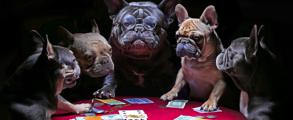 Funniest casino dealer memes Funniest casino dealer memes