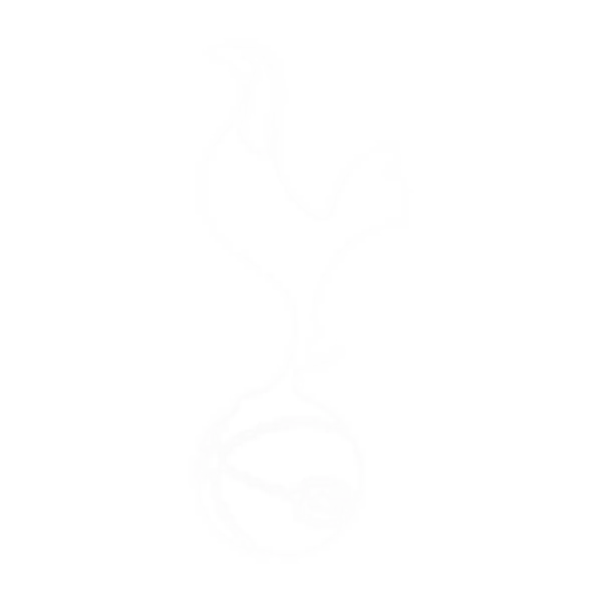 tottenhamhotspur