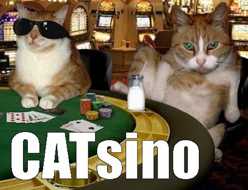 Funniest casino dealer memes - Blog - Bitcasino.io