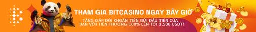 Tham gia Bitcasino ngay bây giờ